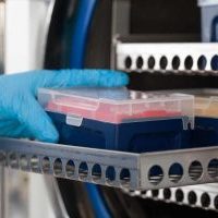 Sterilizer Autoclave