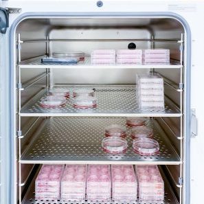 incubator environmental monitoring